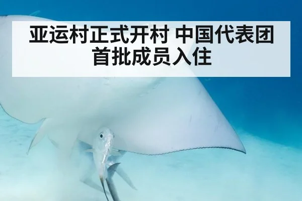 亚运村正式开村 中国代表团首批成员入住